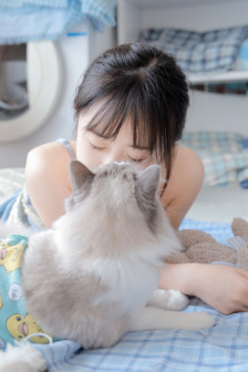 今天早上7点50河南法制频道